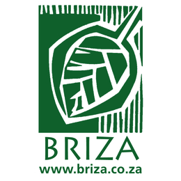 briza-logo-website-address